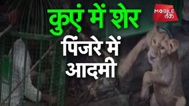 कुएं में शेर, पिंजरे में आदमी