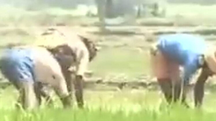 महानगर मुंबई की 25 खबरें