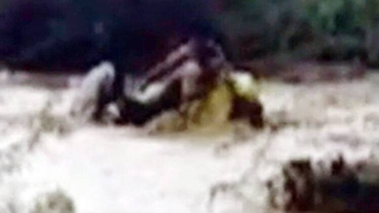 जब बाढ़ की लहरों में फंसा बाइकसवार