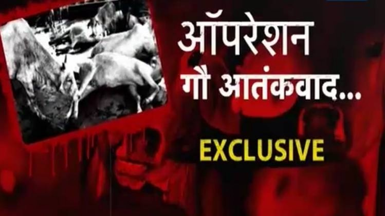 EXCLUSIVE: गोरक्षकों का कारनामा देखिए
