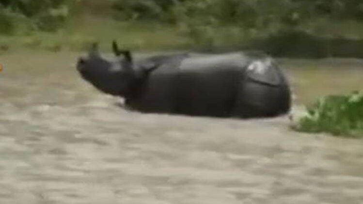 उत्तर भारत में बाढ़ और बारिश से मचा हाहाकार