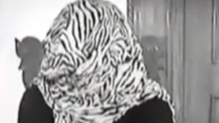 10 मिनट 50 खबरें