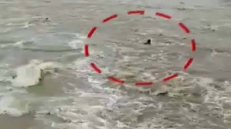 देखिए बाढ़ से बेहाल बिहार की ग्राउंड रिपोर्ट