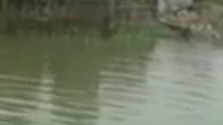 बिहार में बाढ़