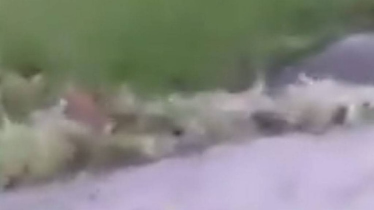 शतक आजतक