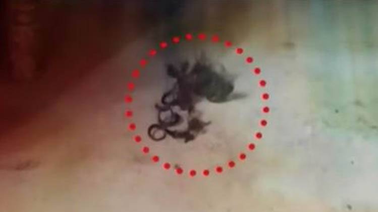 'चोटी कटवा गैंग' की दहशत का वायरल टेस्ट