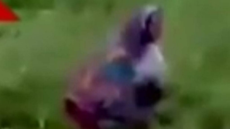 नॉनस्टॉप 100