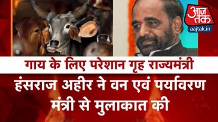 क्रांतिकारी बहुत क्रांतिकारी