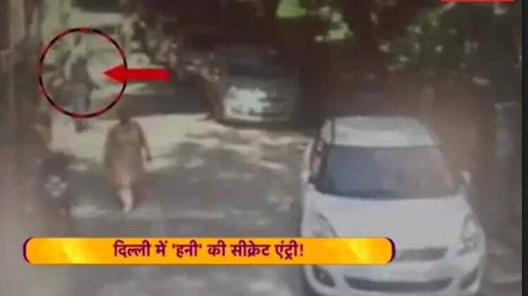 हनीप्रीत की तलाश