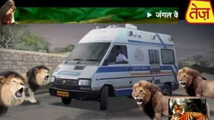 जंगल की हर खबर