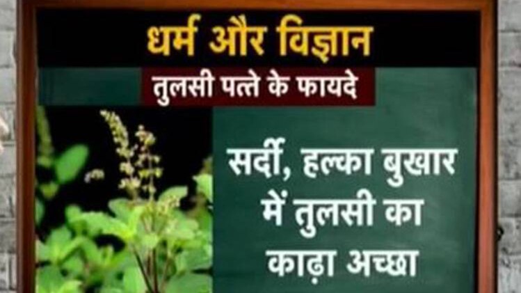 कुमकुम मैडम से जानिए तुलसी के पत्ते के फायदे