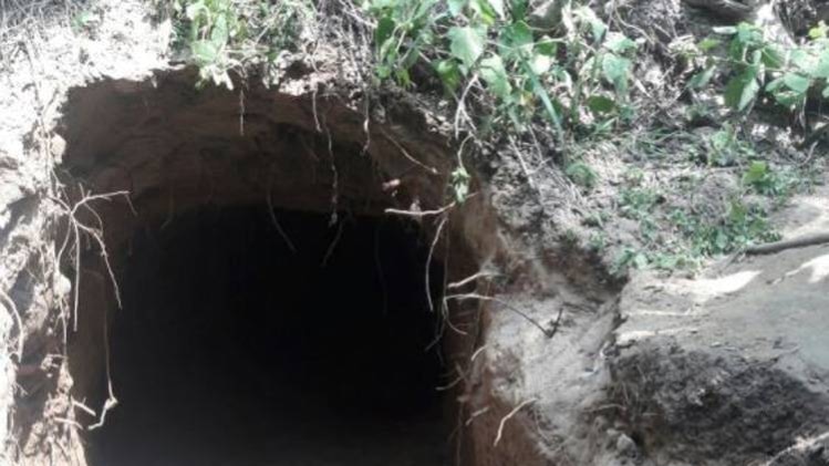 स्पेशल रिपोर्ट