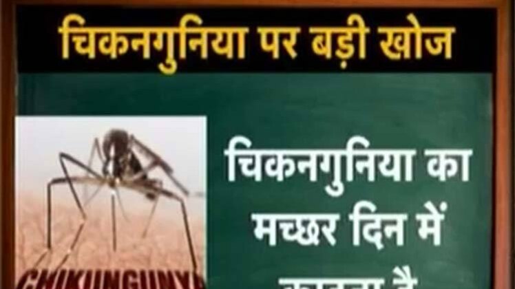 चिकनगुनिया पर भारतीय वैज्ञानिकों ने की बड़ी खोज