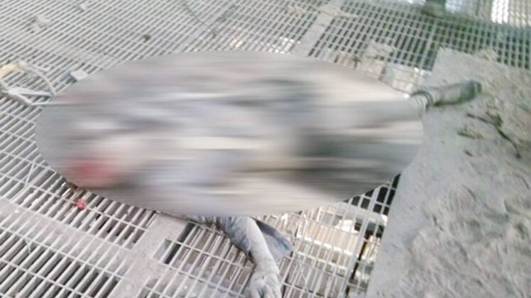 शतक आजतक