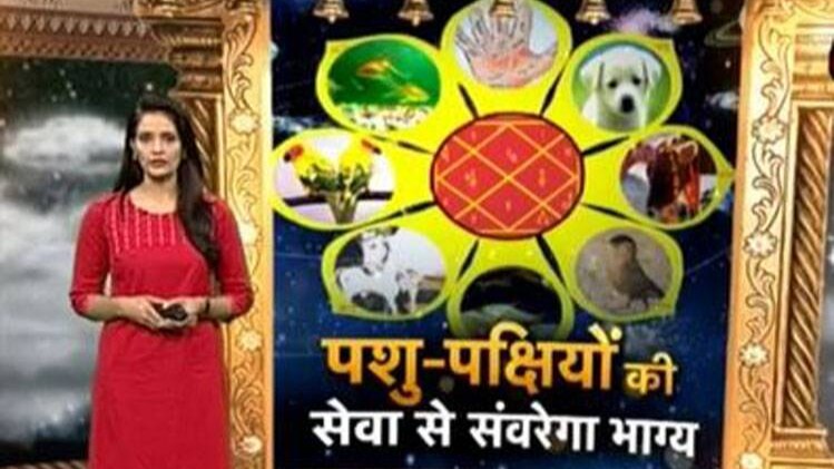 आसपास की चीजों और जानवरों का भी होता है भाग्य पर असर