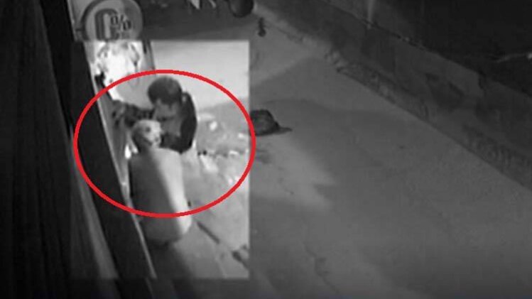 CCTV में कैद चोरों की करतूत, चंद मिनटों में ऐसे ले उड़े लाखों का सामान