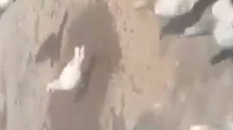 क्राइम 360