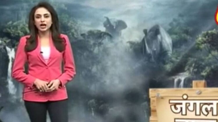 जंगल न्यूज: गड्ढ़े में फंसा हाथी का बच्चा