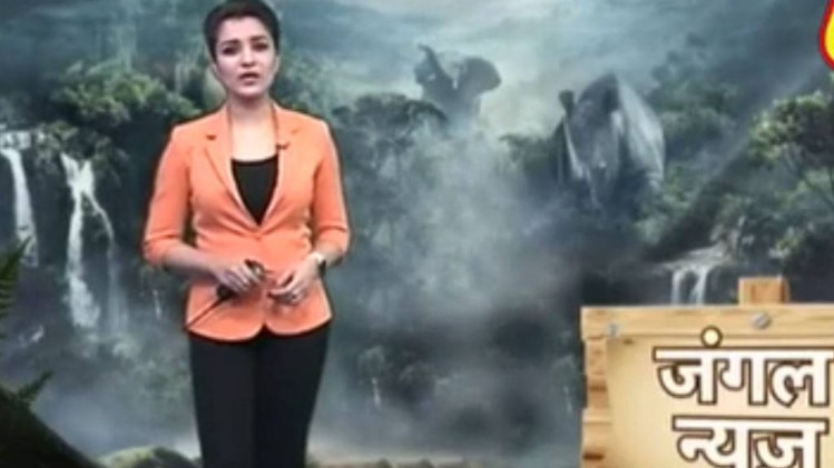 जंगल न्यूज: नए साल के जश्न में डूबा लखनऊ चिड़ियाघर