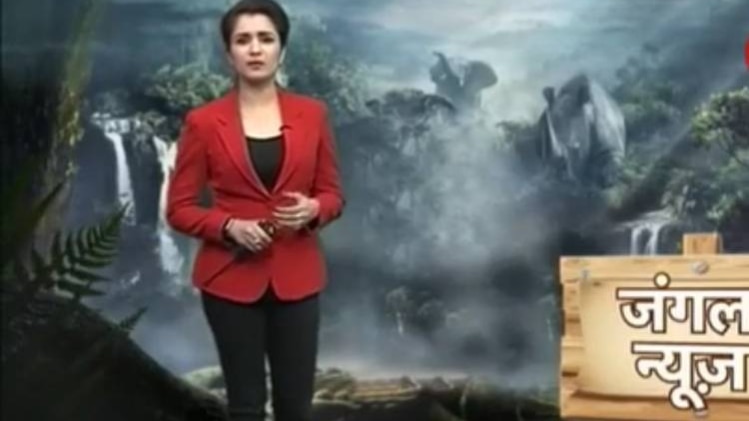 जंगल न्यूज