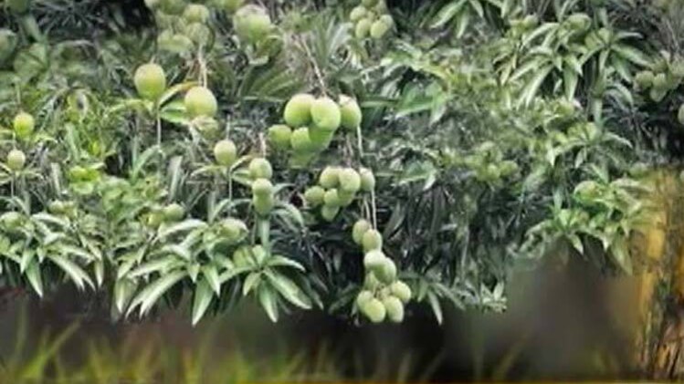 सुनिए घमंड के सर्वनाश की दिलचस्प कहानी