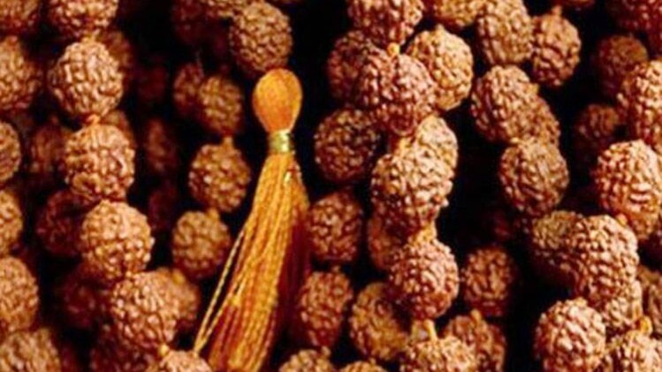 चाल चक्र