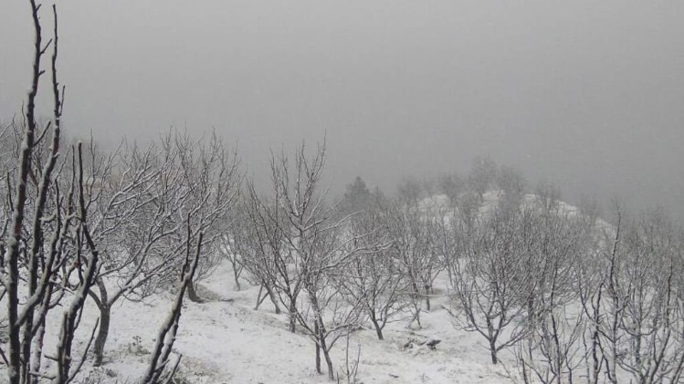 पहाड़ी इलाकों में जबरदस्त बर्फबारी