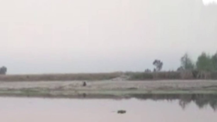 आजतक पंजाब