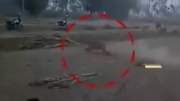 गांव वालों में बाघ की दहशत