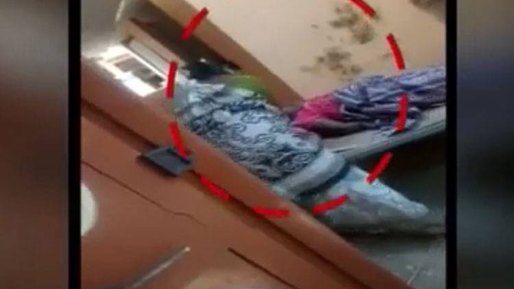 बड़ी बहन की पिटाई करती महिला