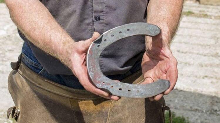 चाल चक्र