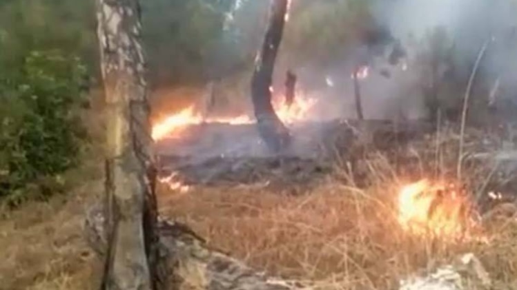 जगलों की धधकती आग से लोगों का जीना मुहाल