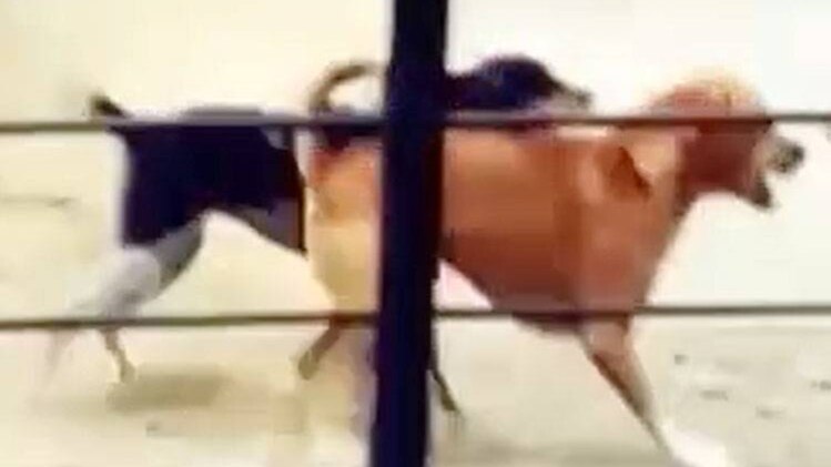 क्राइम 360