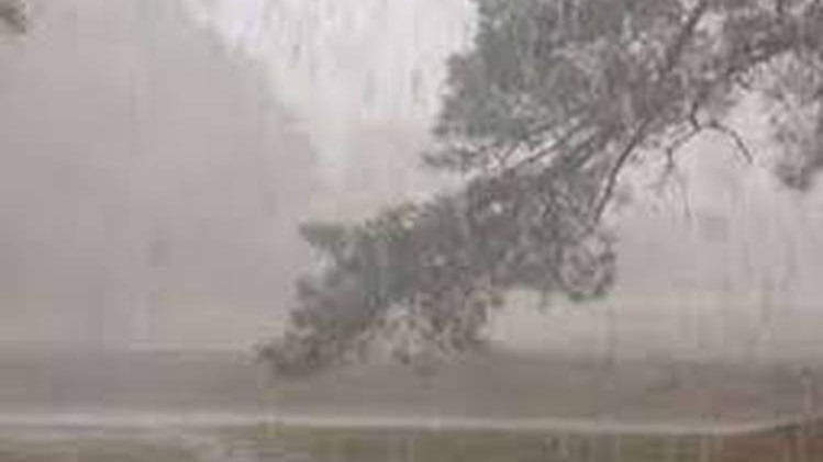 आंधी-बारिश का कहर, कई लोगों की मौत