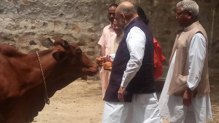 अमित शाह