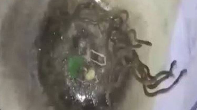 सुबह- सुबह