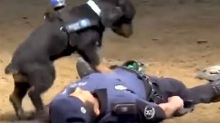 सुबह- सुबह