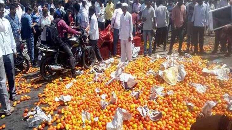 फाइल फोटो.