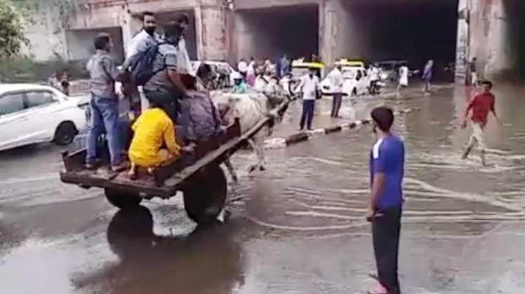 लोग बैलगाड़ी से पार कर रहे हैं पानी से भरा अंडर पास