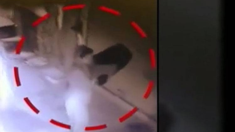 बुराड़ी कांड: खुद 'मौत का सामान' लाया था परिवार