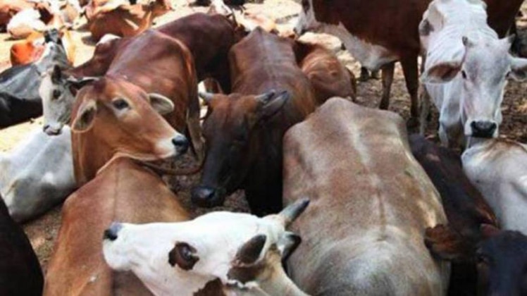 इस मामले में पुलिस ने दो लोगों को गिरफ्तार करने का दावा किया है