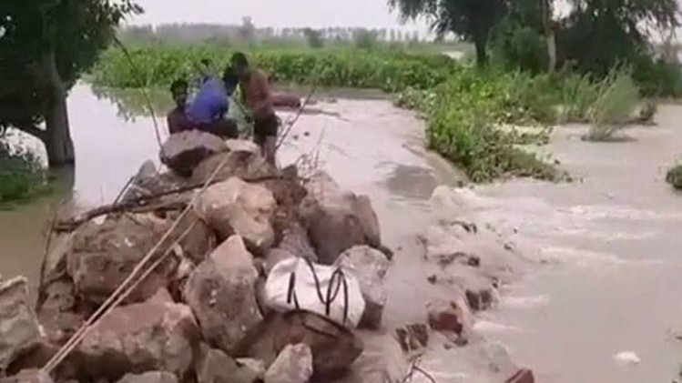 यमुना का जलस्तर बढ़ा