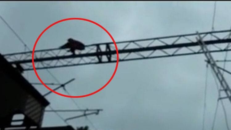 छत्तीसगढ़