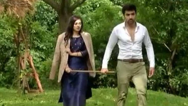 मीरा और विवान