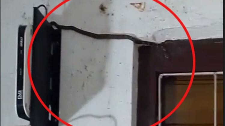 थाने में घुसा सांप