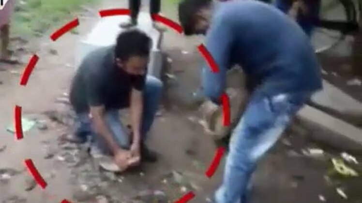 जब बारिश के बाद रिहायशी इलाके में पहुंचा मगरमच्छ का बच्चा