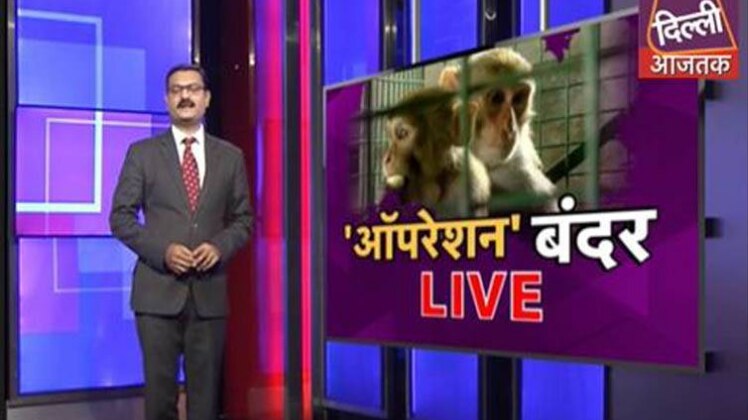 ऑपरेशन बंदर