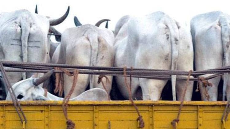 बजरंग दल का कार्यकर्ता गिरफ्तार.