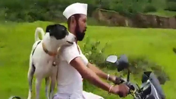 मामला पुणे का है