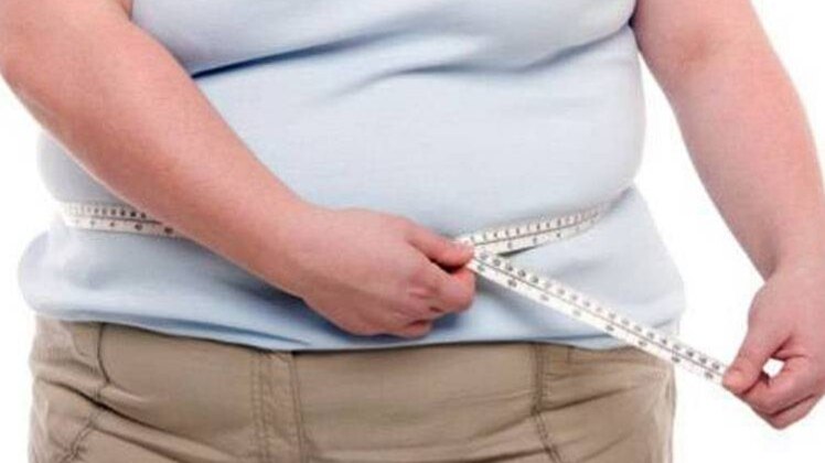 चाल चक्र